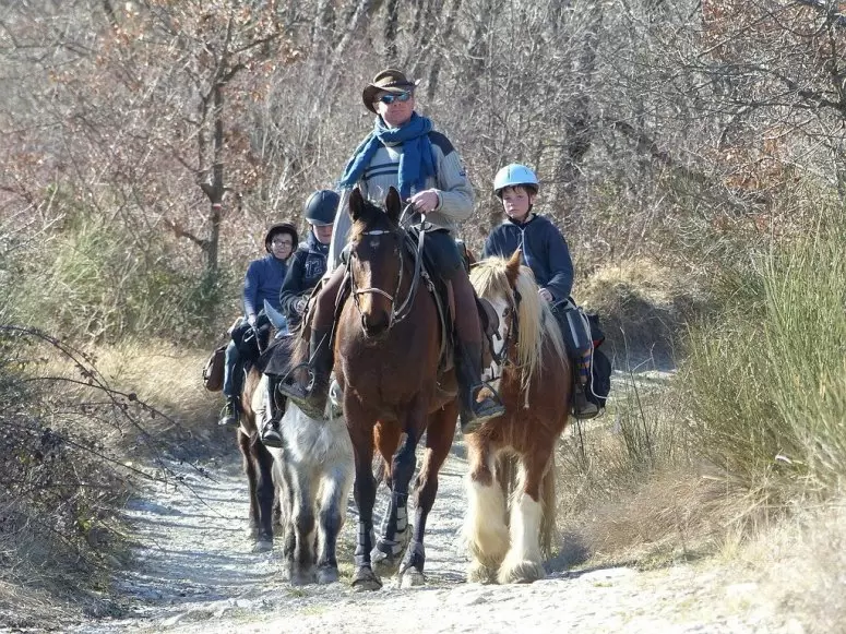 randonnées_pleine_nature-poney_club_du_thor