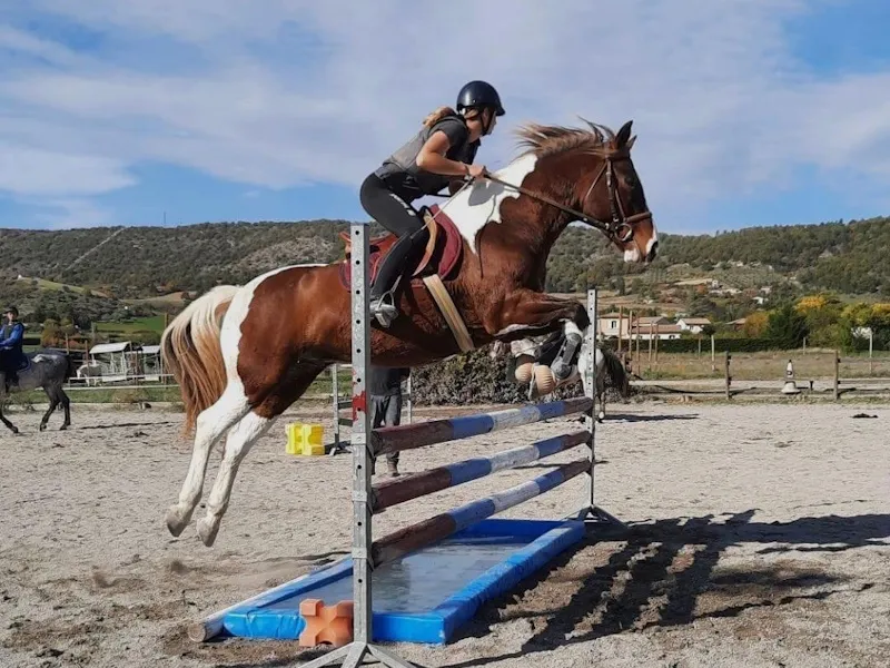 stages-déquitation-poney_club_du_thor
