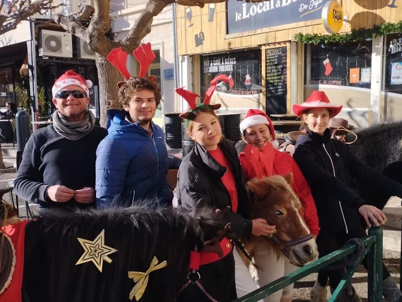 Balades en main-poney_club_du_thor
