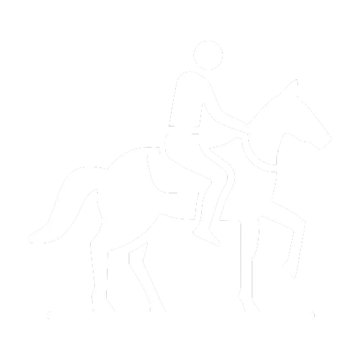 cheval_blanc_poney_club_du_thor