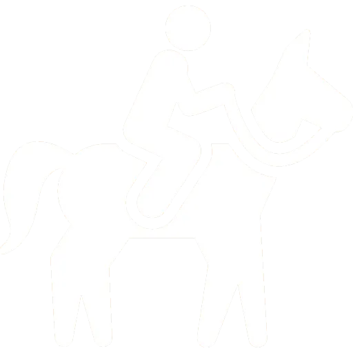 cheval_blanc_poney_club_du_thor