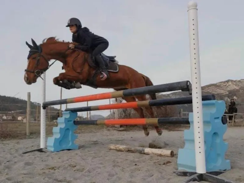 Cours_poney-poney_club_du_thor